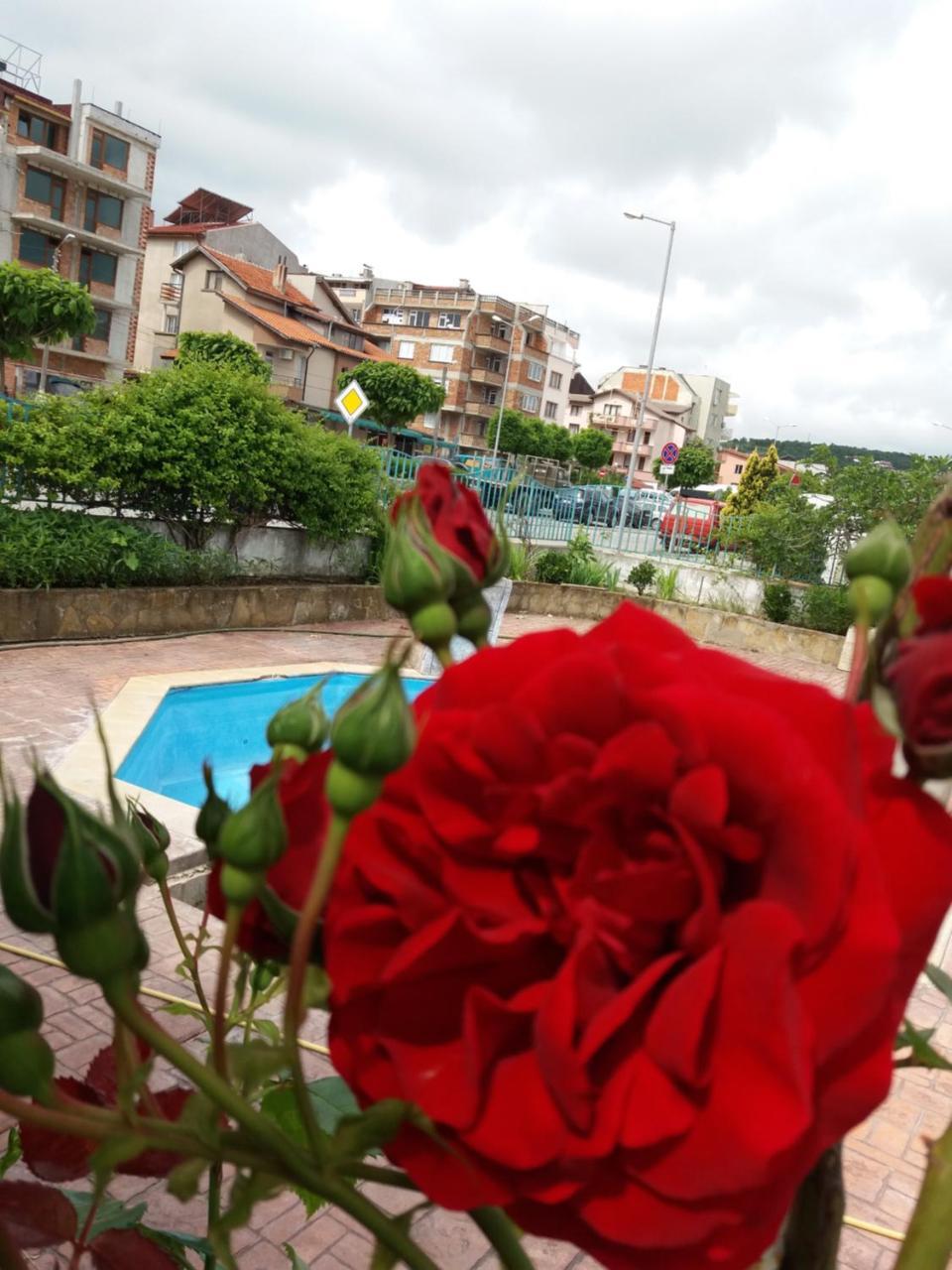 Alba Family Club Hotel 프리모르스코 외부 사진