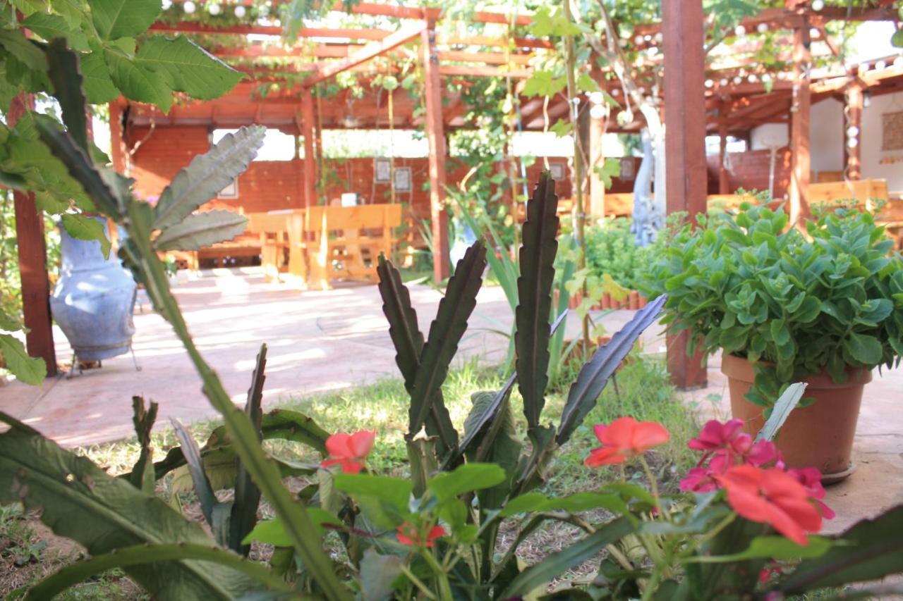 Alba Family Club Hotel 프리모르스코 외부 사진