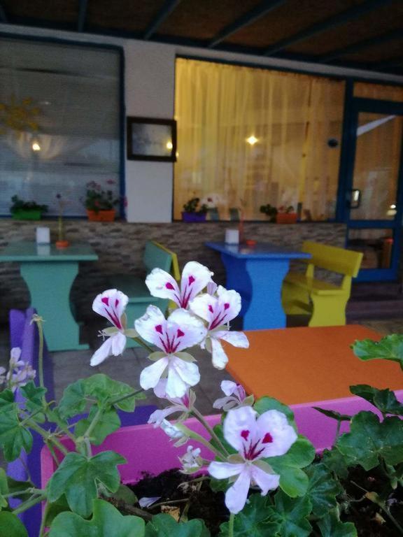 Alba Family Club Hotel 프리모르스코 외부 사진