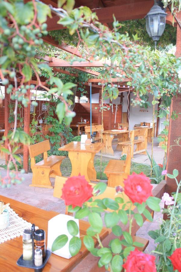 Alba Family Club Hotel 프리모르스코 외부 사진